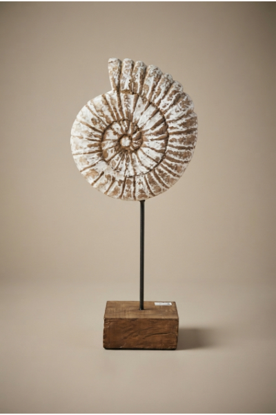 Decor - Mini Coral Stand - White Wash